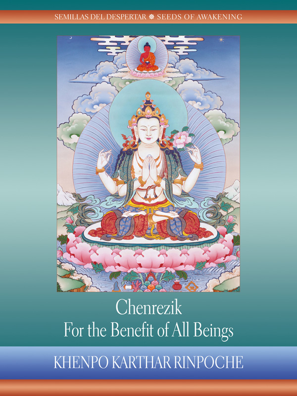 Dharma Book Study – Chenrezik: For benefit of all sentient beings